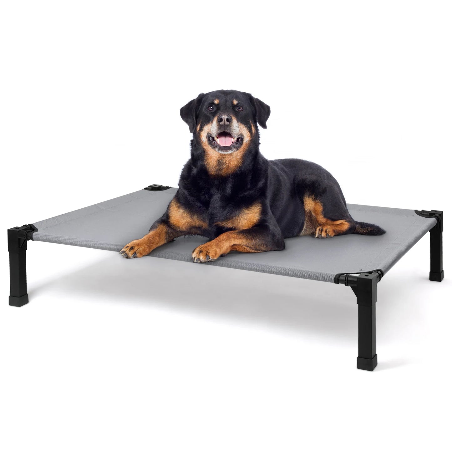 Elevated Cooling Dog Bed With Chew Resistant Metal Frame