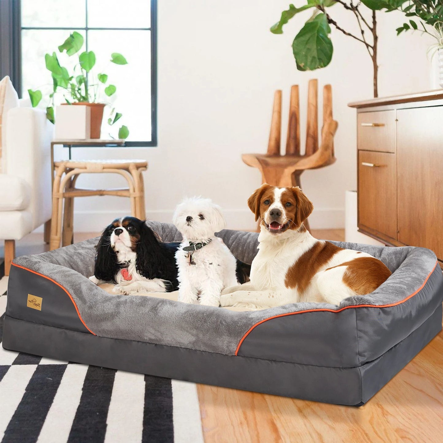 Orthopedic Dog Bed With Removable Cover