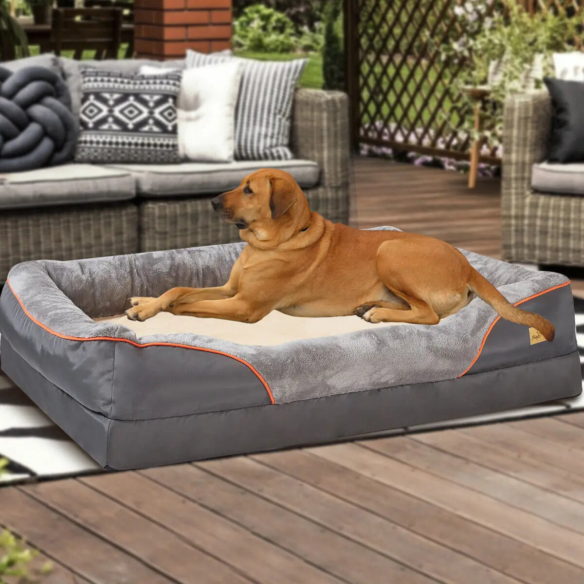 Orthopedic Dog Bed With Removable Cover