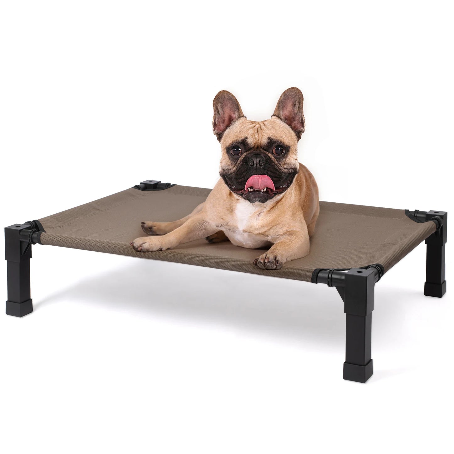 Elevated Cooling Dog Bed With Chew Resistant Metal Frame