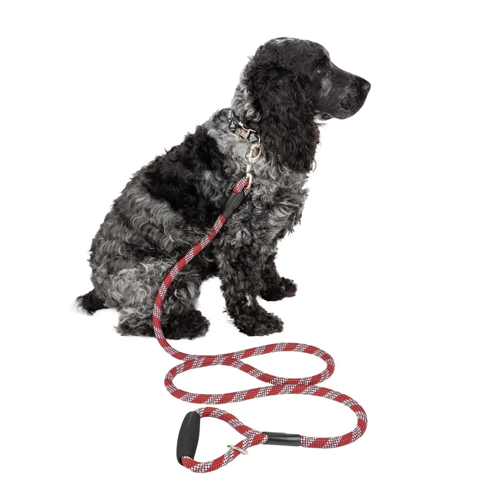Heavy Duty Reflective Dog Leash 6Ft Padded Handle Red Rope Medium Large Pets Evening Walks Durable Clip